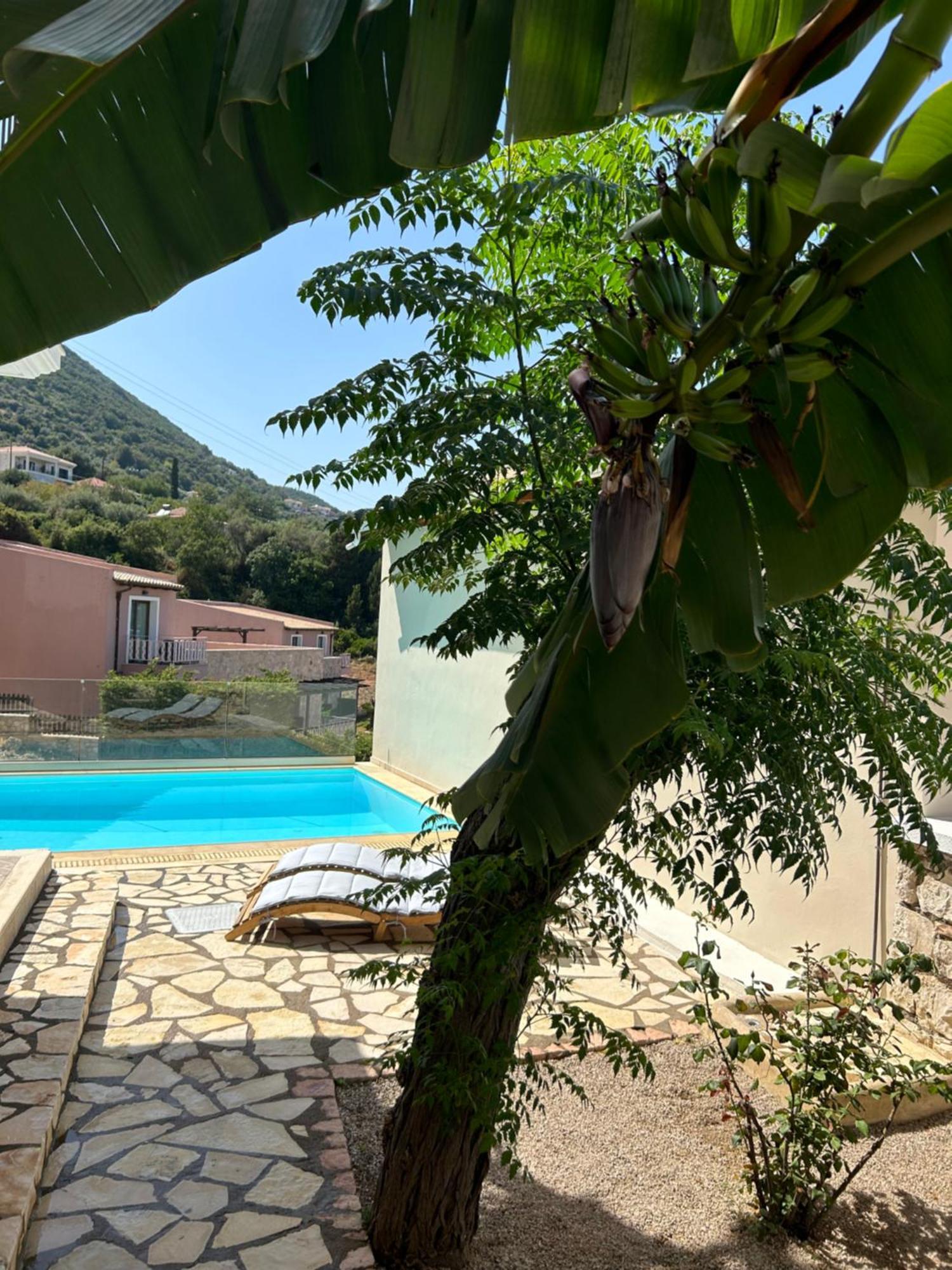 Villa Saint George Νικιάνα Εξωτερικό φωτογραφία